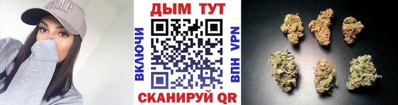 МЕФ Курган