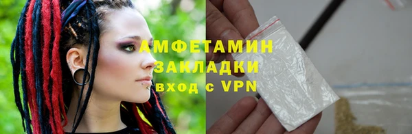 индика Арсеньев
