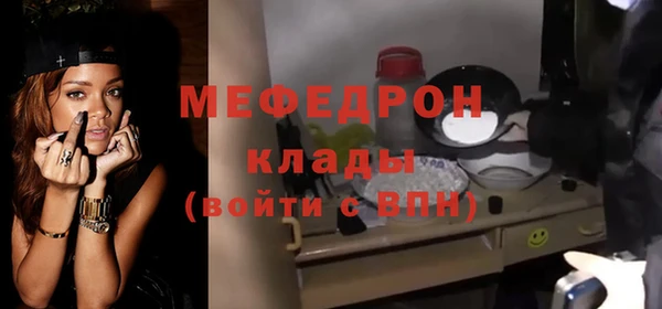 индика Арсеньев