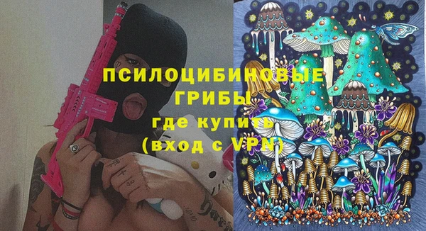 хмурый Алексин