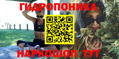каннабис Баксан