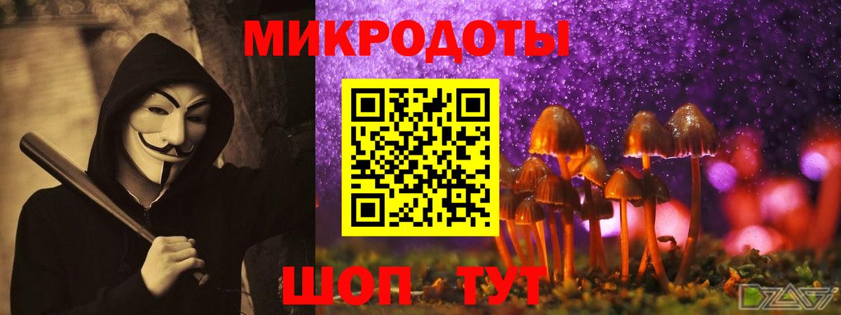 Псилоцибиновые грибы GOLDEN TEACHER  Вход с VPN  Галлюциногенные грибы ЛСД  Курган 