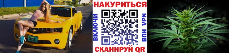 Марихуана план  Курган 